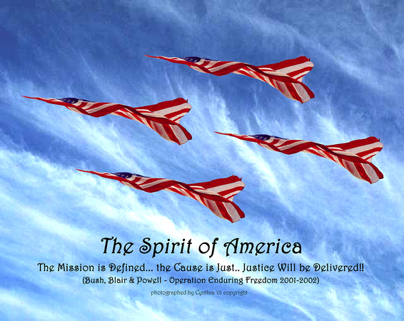 "The Spirit of America" - Mission Statement