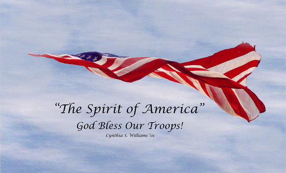"The Spirit of America" - Troops